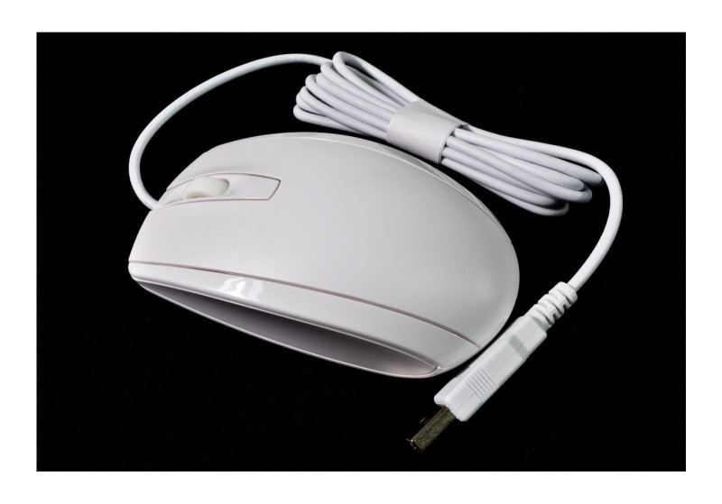 M52962-001 - Mouse, Wired USB, White | eBay