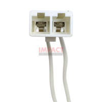 5318EL3001A - Igniter