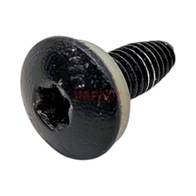 Screw 10 (16 PL PNT 2.5)