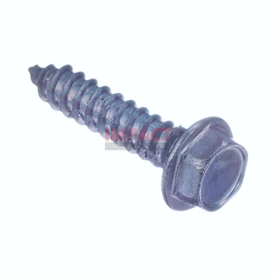 Screw