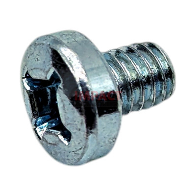 Screw