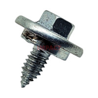 WP3389420 - SCREW