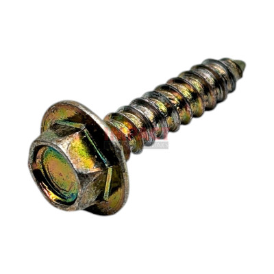 Screw