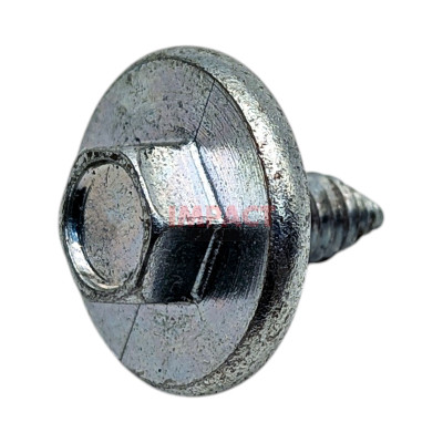 Screw