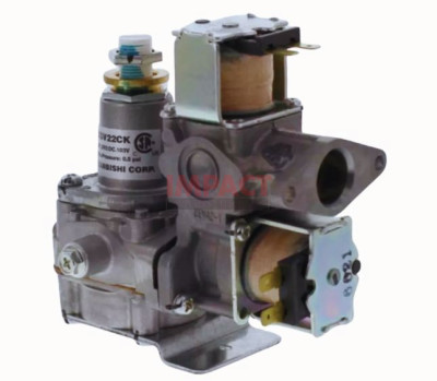 GAS VALVE ASSEMBLY