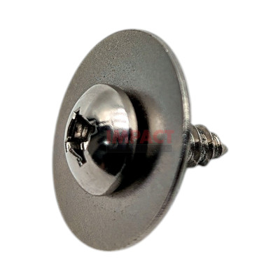 Screw