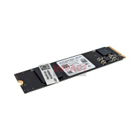 SSD CASED 256GB M 2 2280 OM8PGP4256Q AA KINGSTON LF+HF