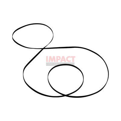 W11162091CM - Belt