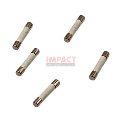 15Amp, slow blow fuse - 5 Pk