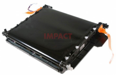 Transfer Belt