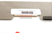 RP784 - 15.4 Wuxga LCD Panel (TFT)