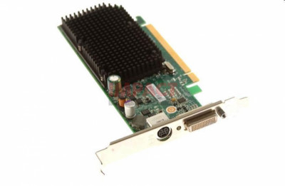 256MB Video Card, PCI EX