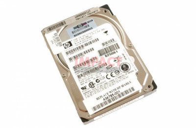 73GB Hard Drive (SAS 10K RPM 2.5")